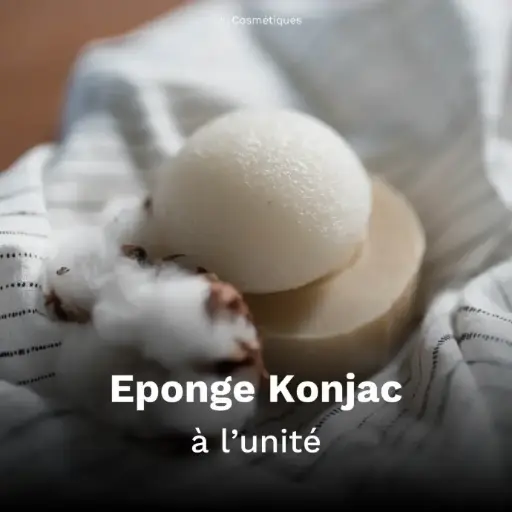 [B2B-AC004-X01] Éponge Konjac (à l'unité)